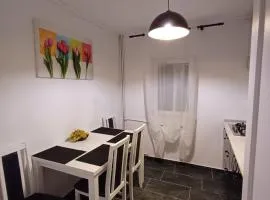 Apartament Milan