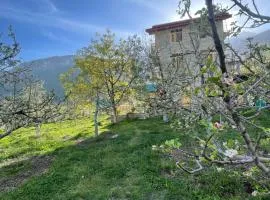 heavens retreat manali
