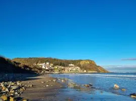 Tulip Cottage Hinderwell, Staithes & Whitby - 2 Night Min - Sleeps 6 - Pet Friendly