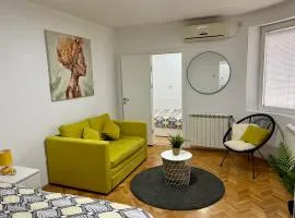 Cozy Apartment in Belgrade Downtown