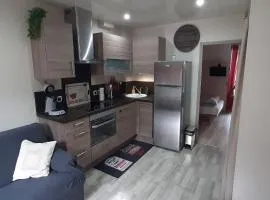 Appartement au cœur du Mont-Dore