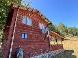 Cabaña Alerce Villarrica, hotel v destinaci Villarrica