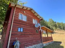 Cabaña Alerce Villarrica