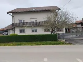 Apartments with a parking space Vrbovec, Prigorje - 22922