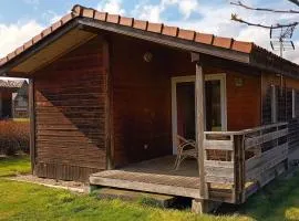 Chalet 1 au coeur des volcans