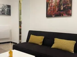 Appartement en plein Centre