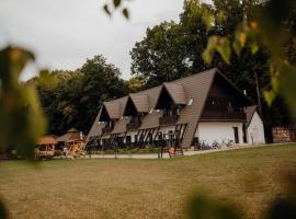 Pensiunea Paradisul Verde, casa de hóspedes em Oglinzi