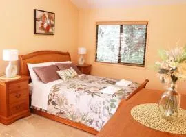 Rainforest Cabin in Doon Doon NSW