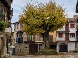 EL VIEJO OLMO, rumah percutian di Herguijuela de la Sierra