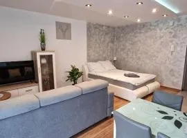 Apartament-Studio Polana Szaflarska