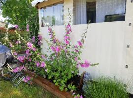 grand mobil home domaine La Lande, hotel en Mimizan