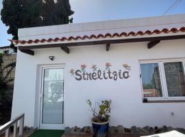 Strelitzia Apartament, cabin in Santa Úrsula