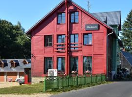 Penzion My Lady II, guest house in Heřmanice