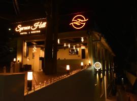 Spruce Hill Hotel & Restro, hotel u gradu Nainital