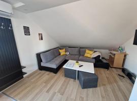 Apartman Viking, apartment in Donji Milanovac