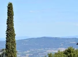 HOME L'UPUPA AMIATA