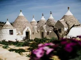 Trulli Pinacea