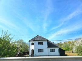 Casa Coman, ξενοδοχείο σε Bogdan Vodă