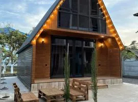 Cottage Eco house