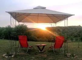 Sunny Side Fruska Gora- apartman A