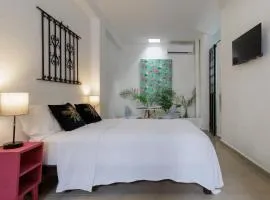 ZOCALO DE MERIDA MUY CERCA CASA PAXI ESTUDIO6