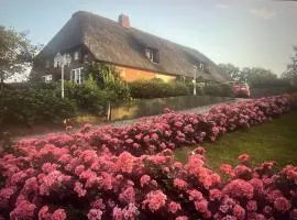 Ferienwohnung Nordwarft