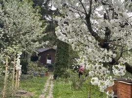 Fußball-Hochburg! Gartenparadies für Campen/Zelten