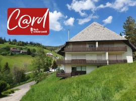 Spechtsboden C4- hochwertige Ferienwohnung mit 2 Schlafzimmer in Todtnauberg- Ski In and ski out, Feldberg, hotel poblíž významného místa Stubenwasenlift, Todtnauberg