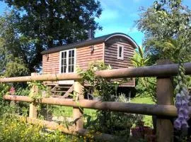 Duck Hut