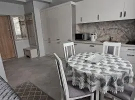 Apartamentai Mažvydo alėjoje