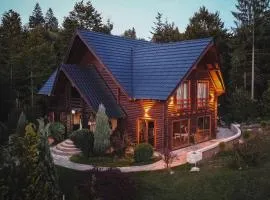 Rustic Wood Villa