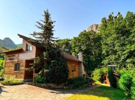 Cabana MIA Valisoara