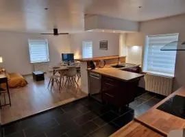 Bel appartement rénové avec de beaux volumes