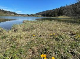 Appmt 4-5 pers pleine nature, viešbutis mieste Lamoura