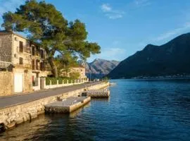 Old Pine Perast