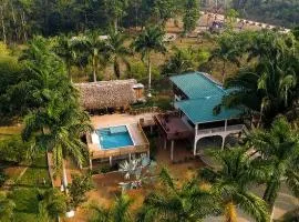 Luxury Jungle Estate Near Placencia peninsula--Exotica