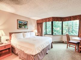 Studio 211 - Perfect Location with Pool and Hot Tub, haustierfreundliches Hotel in Crested Butte