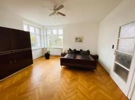 Herrenhaus Höniger Flughafen 11Min/Wienmitte 12Min