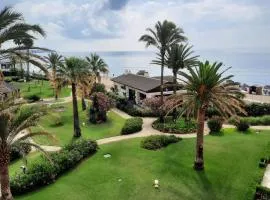 LAS MIMOSAS PARADISE
