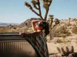 Shelter 1- A Classic- At Joshua Tree Park Entrance