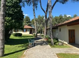 Bungalows SPORT CENTAR