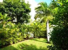 Dodo Coconut lagon Ermitage