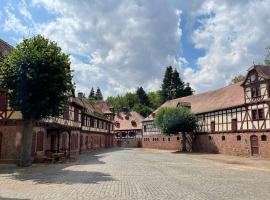 17th Century mill in the middle of nature, hotel en Amöneburg