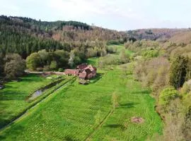 Maison d'hôtes de charme - Ancien moulin en pleine nature - La Paulusmühle