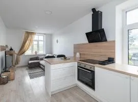 Serene Nemunas River View apartment near McDonald by Polo Apartments