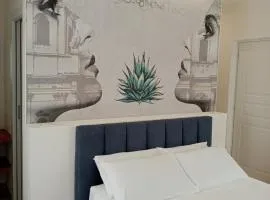 Vicol8Netino