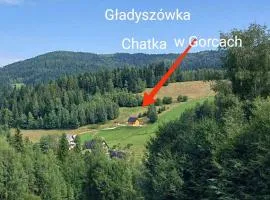 Gładyszówka - Chatka w Gorcach