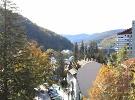 Central Park View Sinaia, hotel cerca de Estación de tren de Sinaia, Sinaia