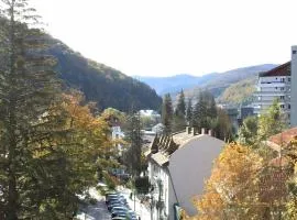 Central Park View Sinaia