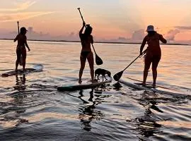 ON THE BEACH SURFERS SUNRISE HAVEN 3